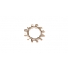 SHOP 7/8 316 STAINLESS STEEL LOCK WASHER